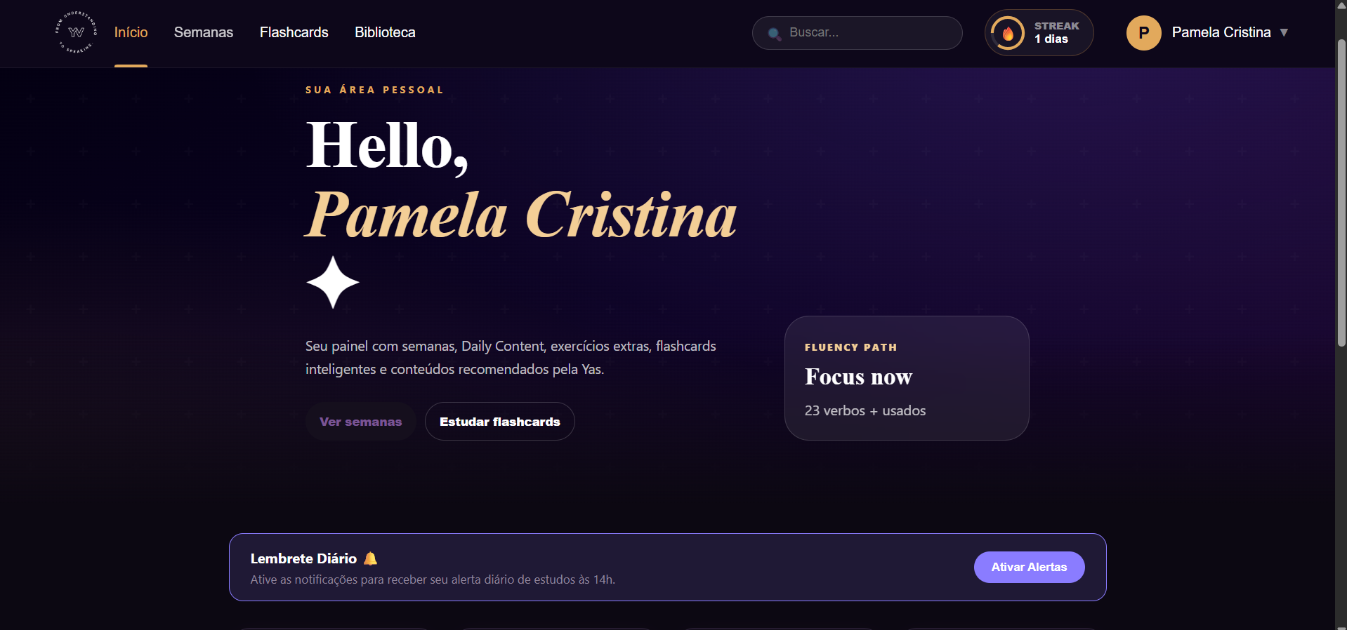 Screenshot do Hub do Aluno YV no desktop